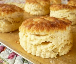 Buttermilk-Biscuits